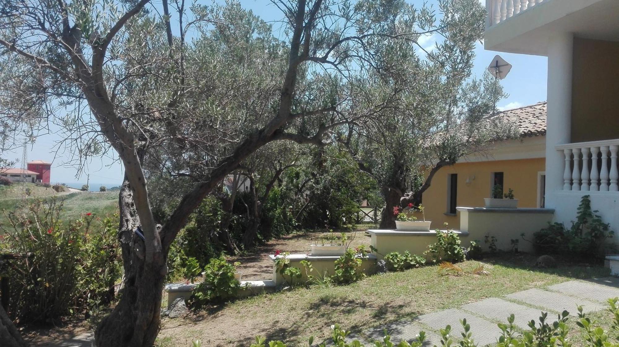 Tenuta Agrituristica Castellesi Squillace Eksteriør billede