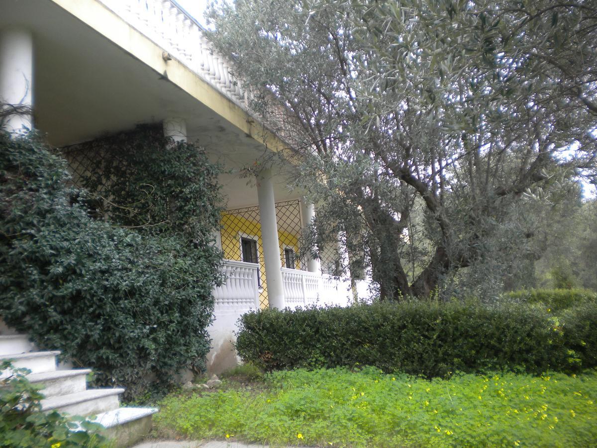 Tenuta Agrituristica Castellesi Squillace Eksteriør billede